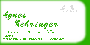 agnes mehringer business card